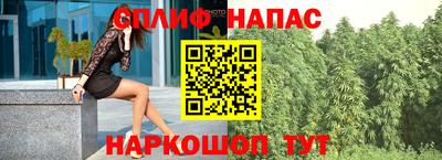 ECSTASY Будённовск