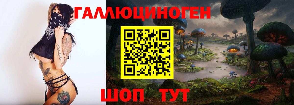 Галлюциногенные грибы Psilocybe Кыштым