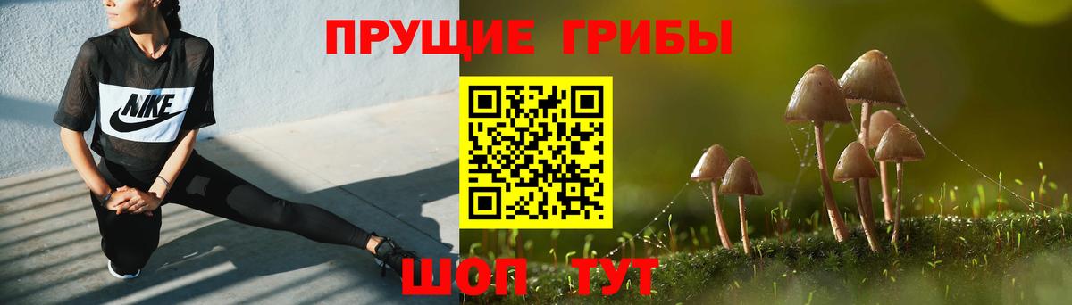 Псилоцибиновые грибы Psilocybe  Вход с VPN  Кыштым  Псилоцибиновые грибы ЛСД 